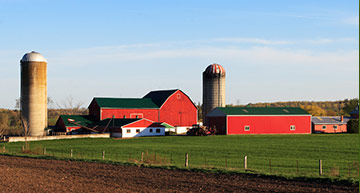 Minnesota Dairy Farm | Agriculture & Crop Hail Insurance